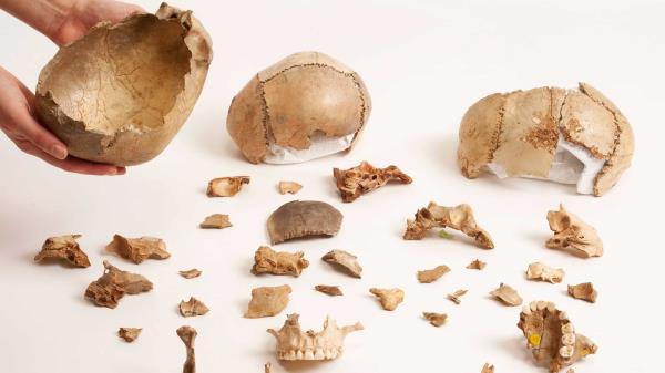 15000年前，欧洲人会吃掉而不是埋葬他们的死者:研究
