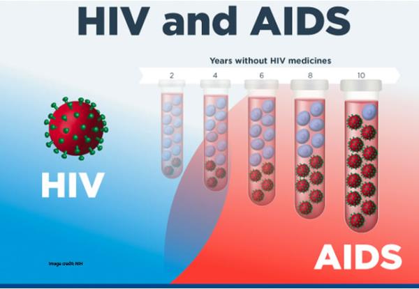 艾滋病毒，艾滋病和某些癌症的发展